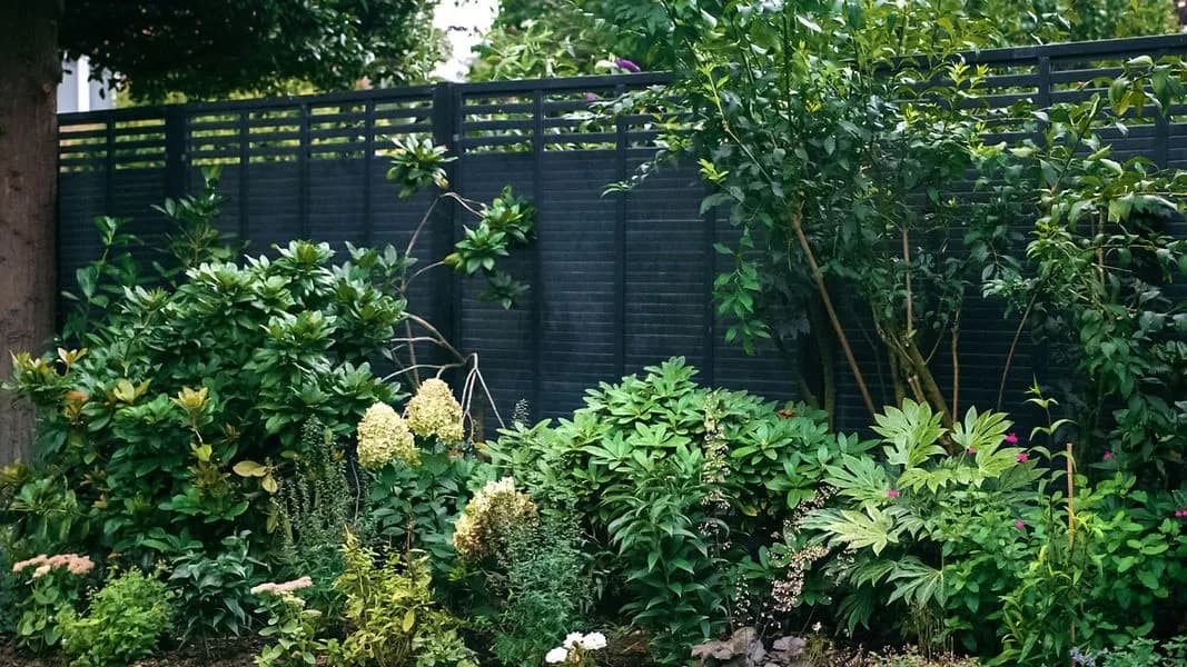 Modern Cottage Garden, view 4