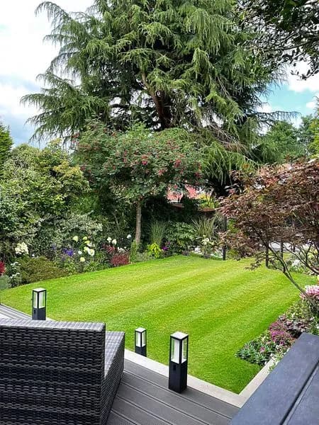 Modern Cottage Garden, view 9