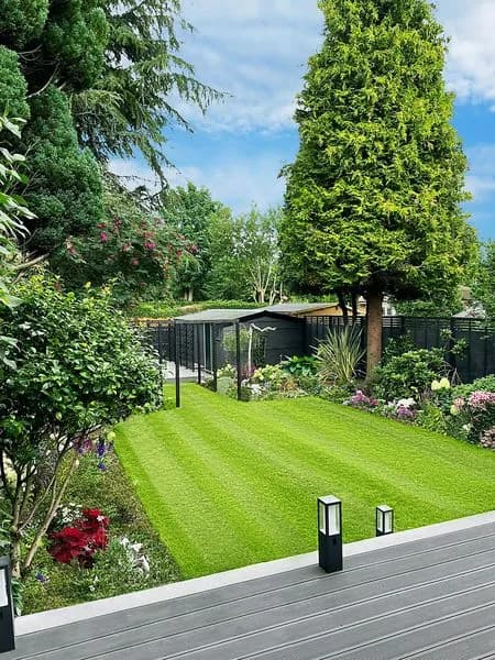 Modern Cottage Garden, view 10