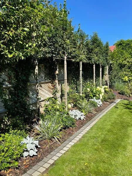 Formal Front Garden, view 8
