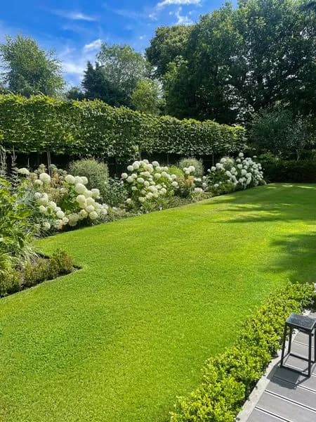 Large Family Garden, view 7