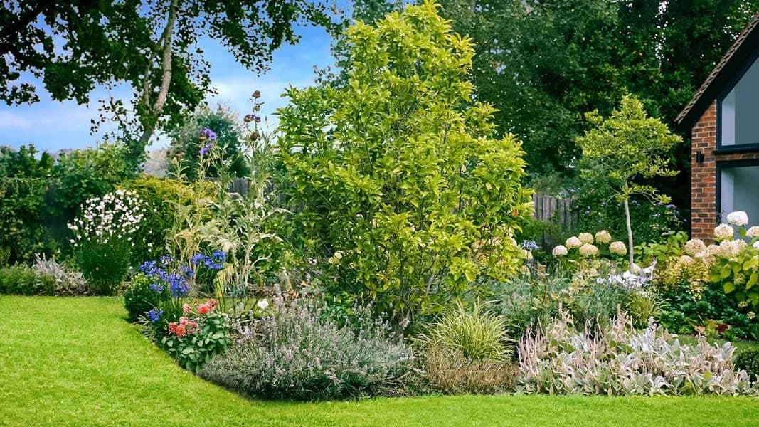 English Cottage Garden, view 7