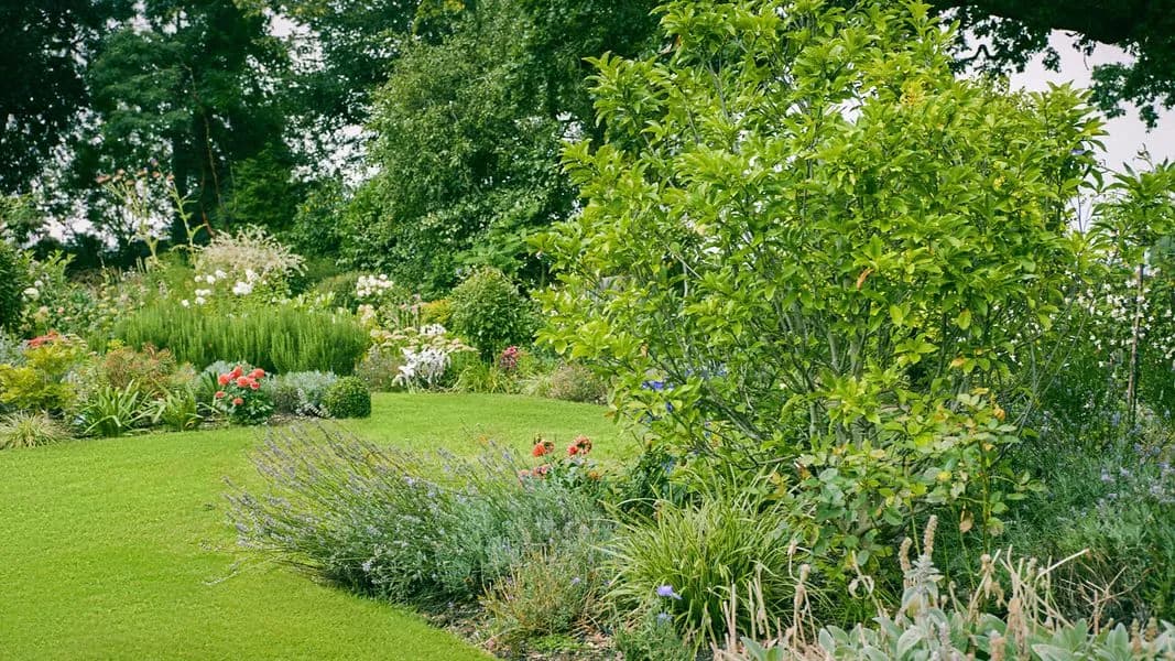 English Cottage Garden, view 9