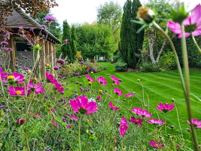 Outside Entertaining Garden, view 5