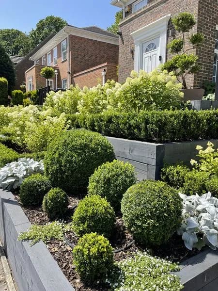 Tiered Front Garden, view 11