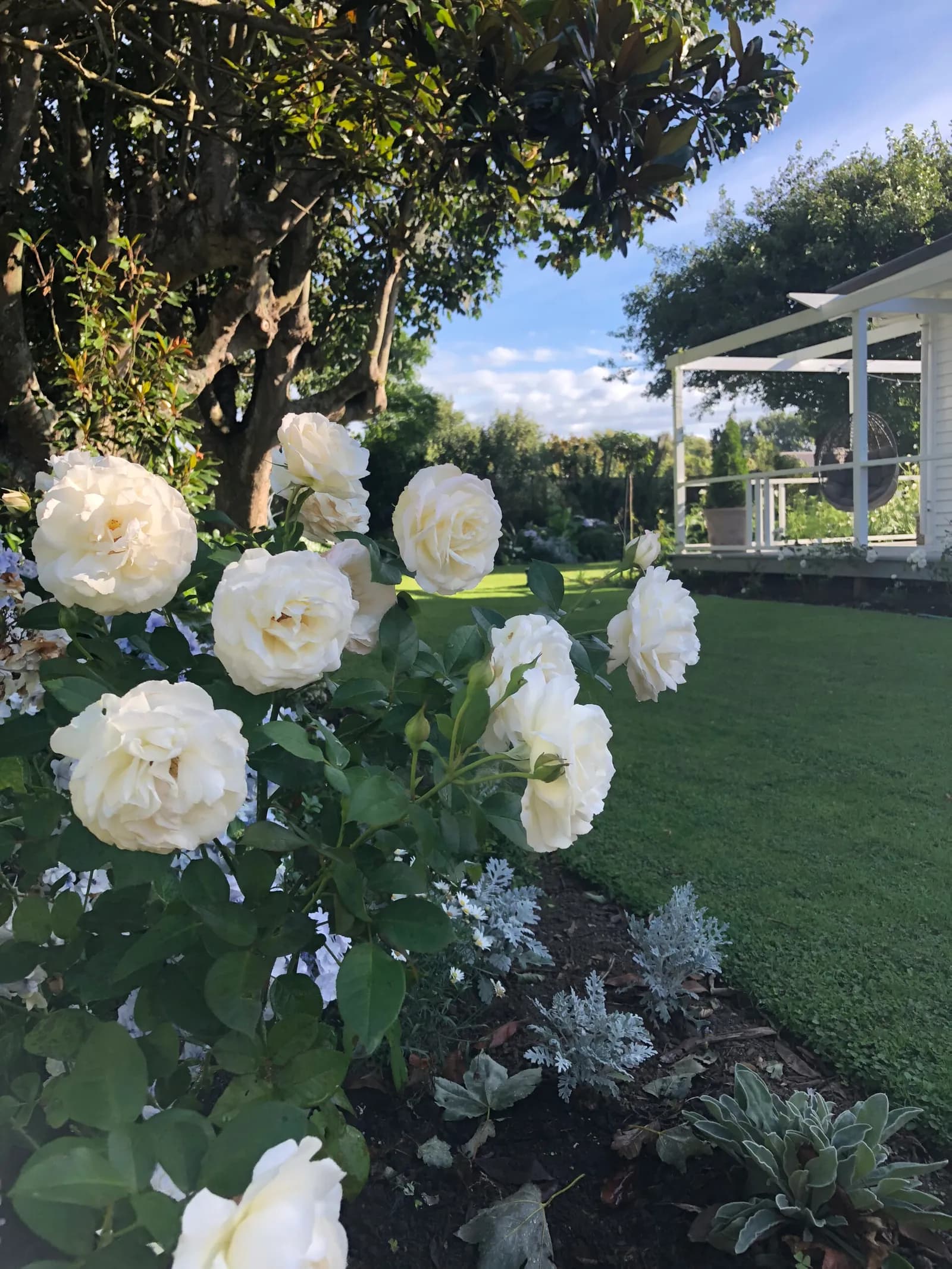 White Garden, view 9