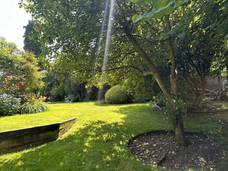 Woodland Garden, view 2