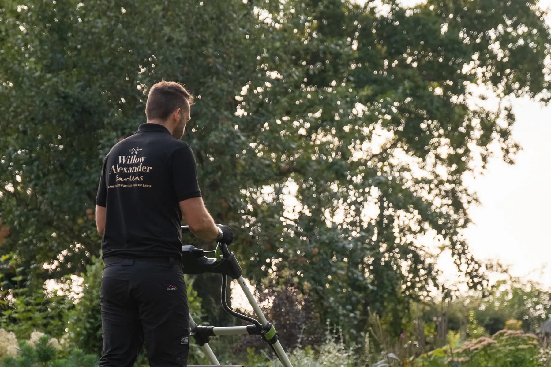 Lawn care — our team at work