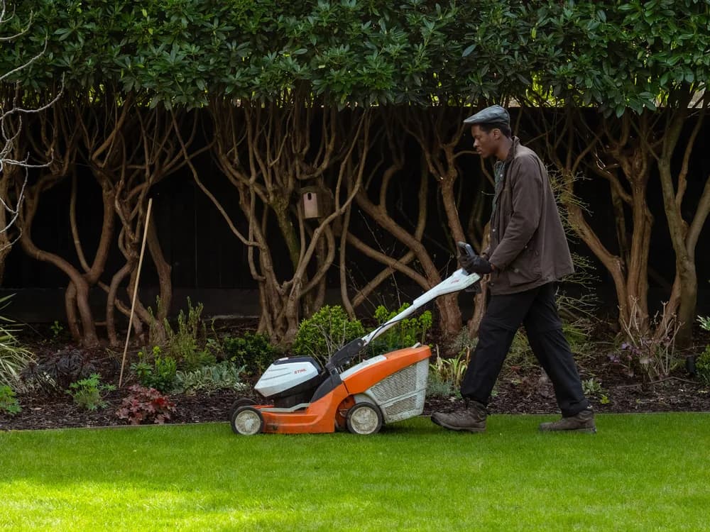 Lawn mowing, recent work 1