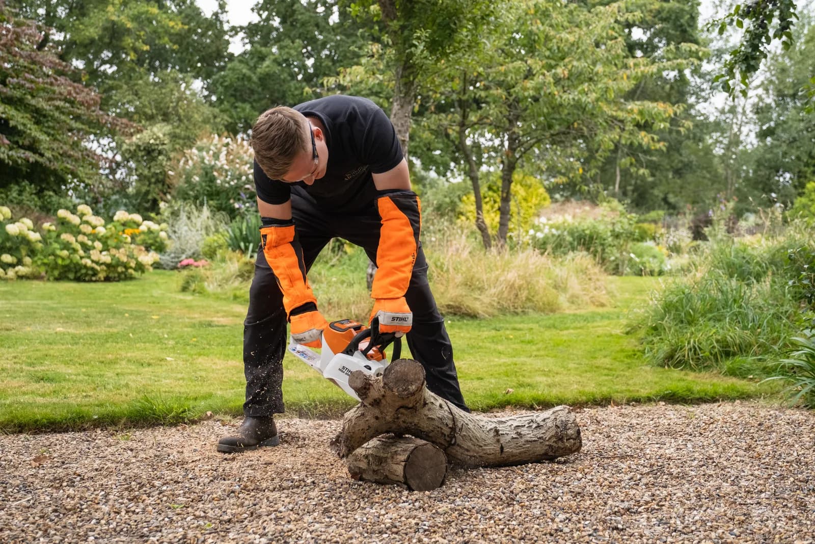 Tree work