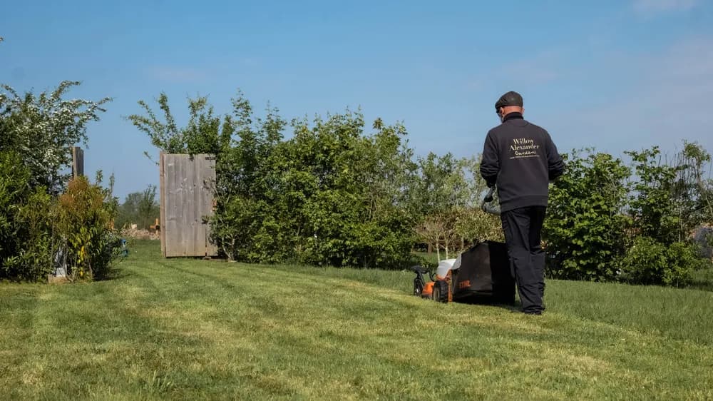 Gardener mowing alongside a herbaceous border in golden evening light