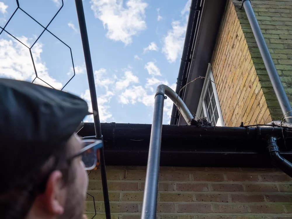 Commercial gutter cleaning, recent work 3
