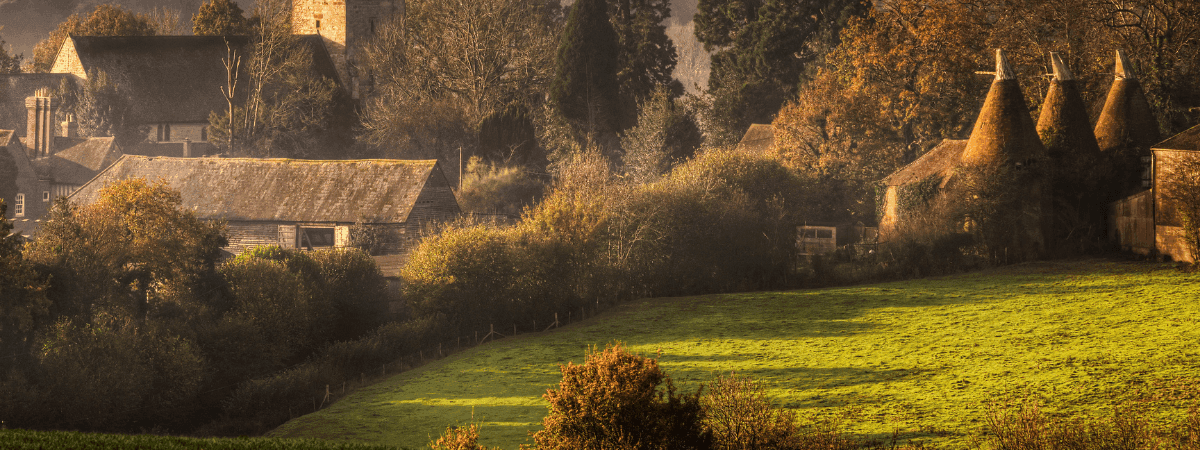 Structural Elements: Creating Garden Interest When Flowers Fade