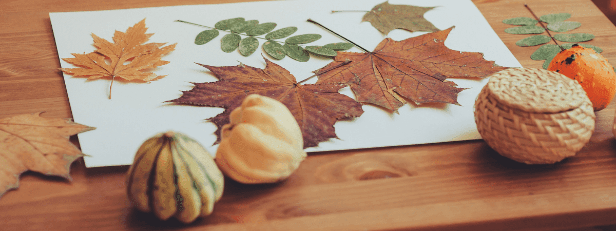Seasonal Rituals: Establishing Rhythms of Comfort and Connection