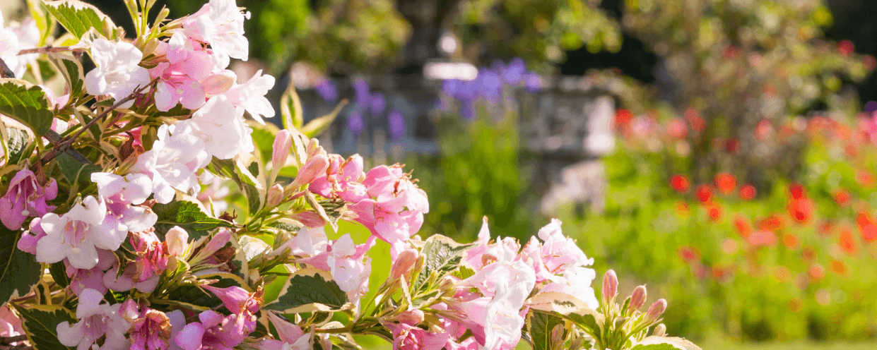 2026 Gardening Trends we Actually Care About