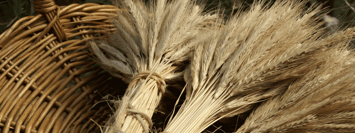 Harvest Traditions: Historical Celebrations in the British Home