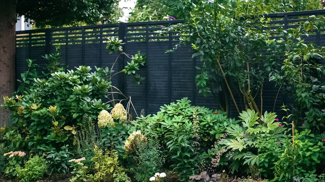 Modern Cottage Garden, view 4