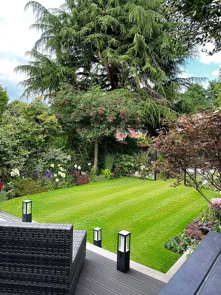 Modern Cottage Garden, view 9