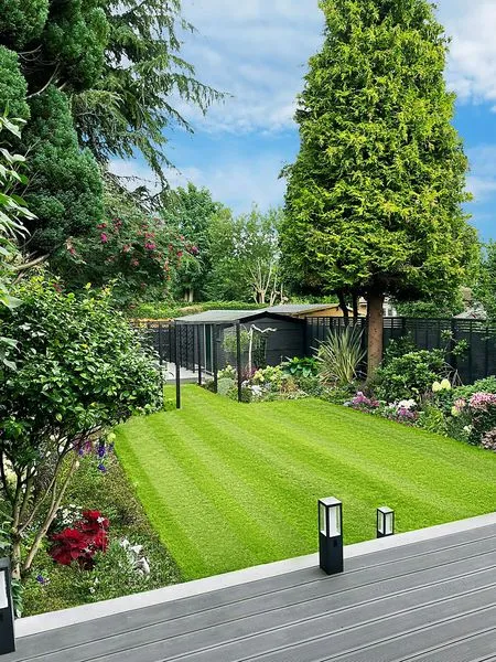 Modern Cottage Garden, view 10