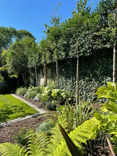 Formal Front Garden, view 9