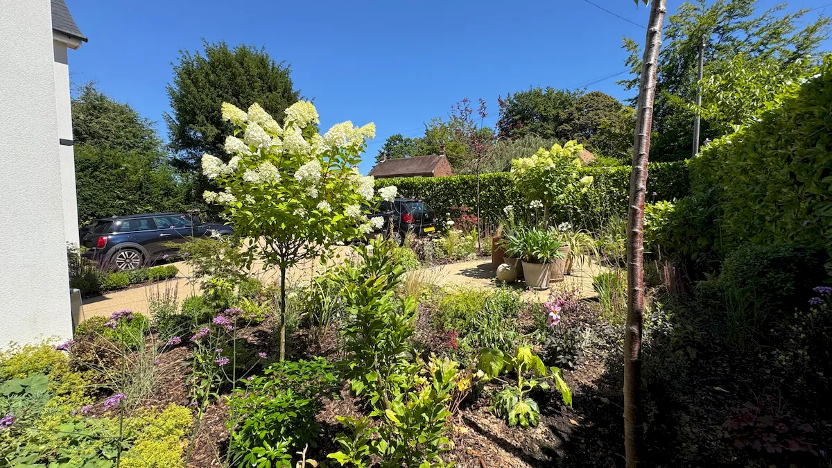 Front Garden, view 4