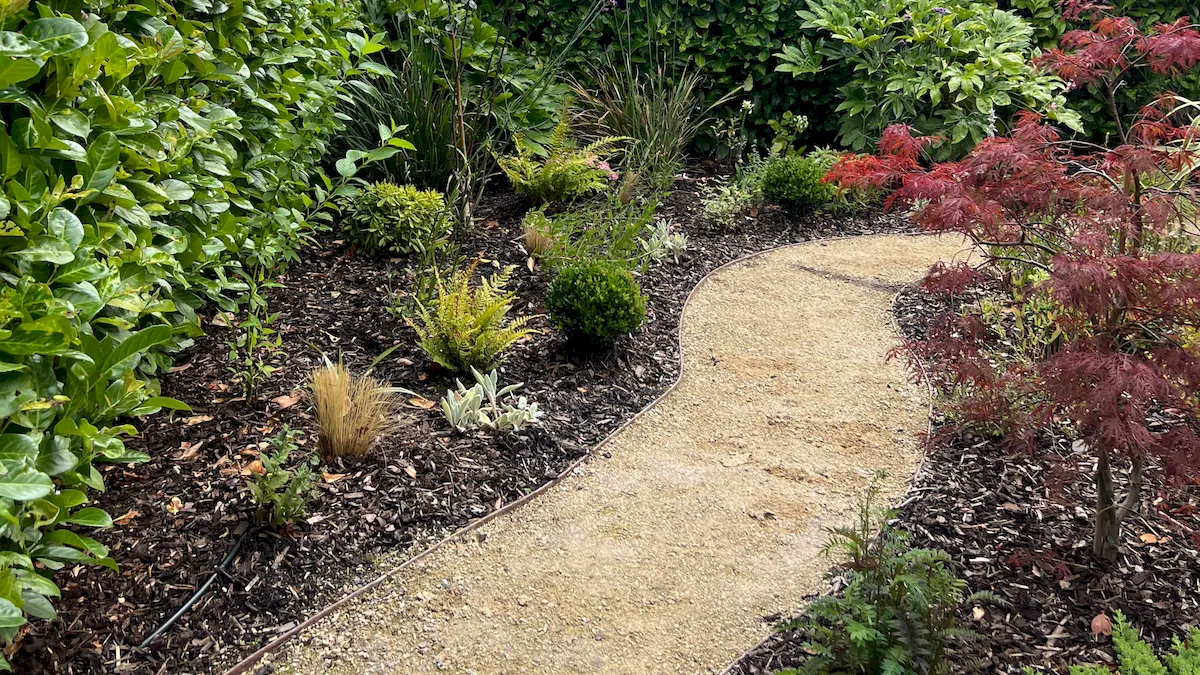 Front Garden, view 7