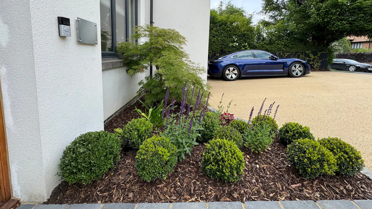 Front Garden, view 10