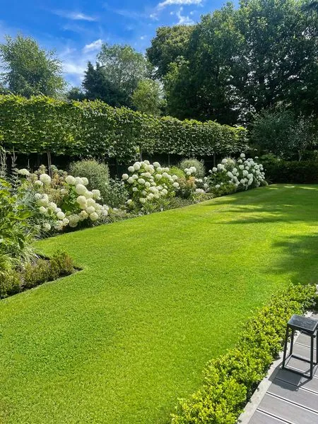 Large Family Garden, view 7