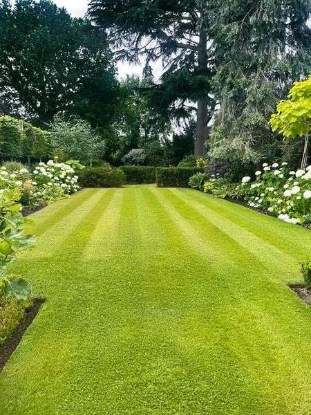 Large Family Garden, view 10