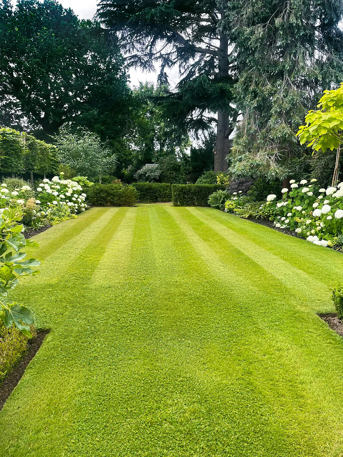 Large Family Garden, view 11