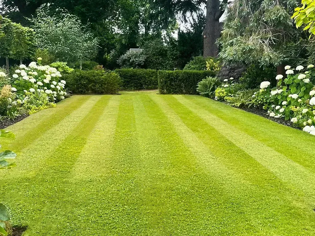 Large Family Garden, view 6
