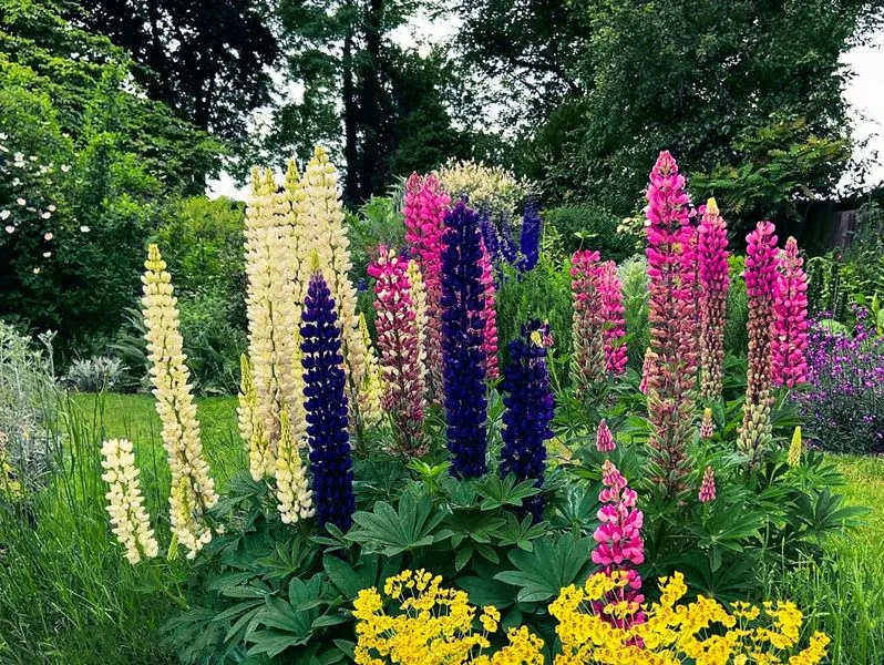 English Cottage Garden, view 4