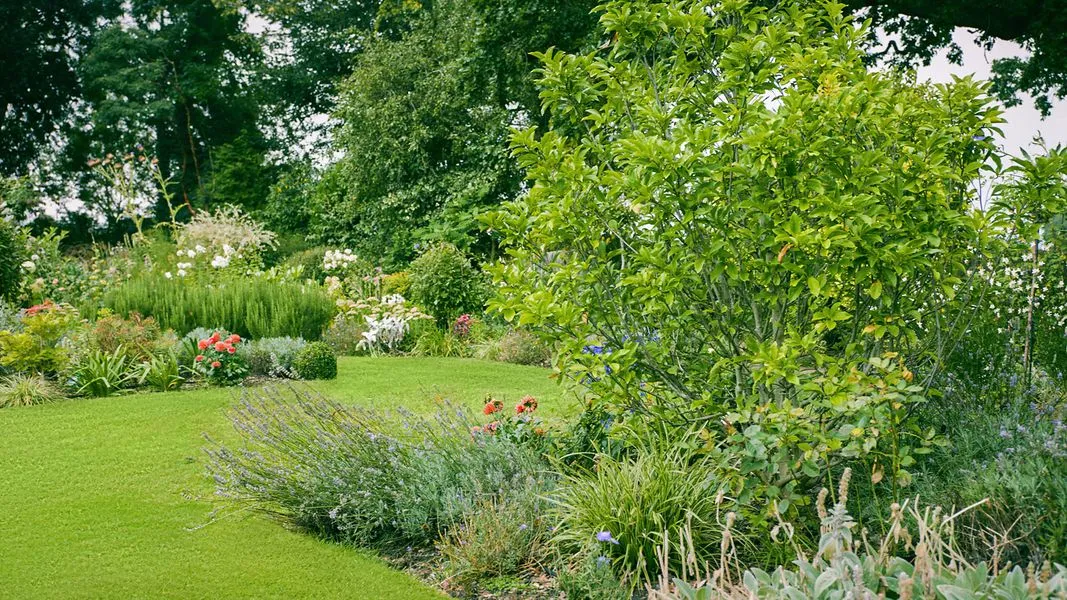 English Cottage Garden, view 9