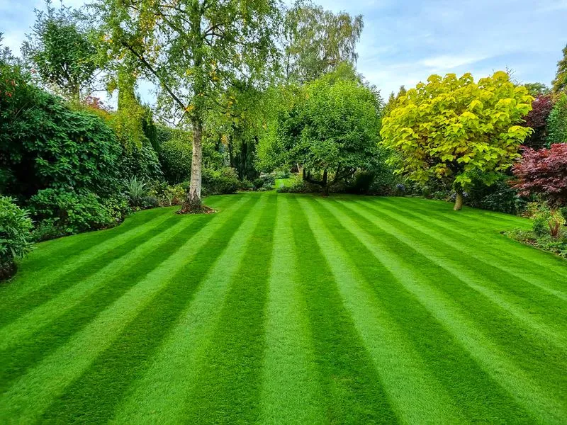 Outside Entertaining Garden, view 2