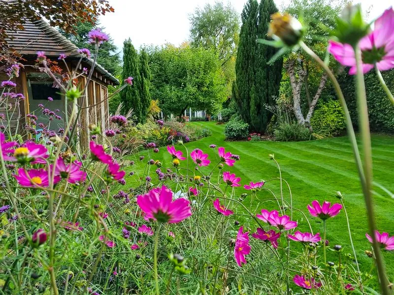 Outside Entertaining Garden, view 5