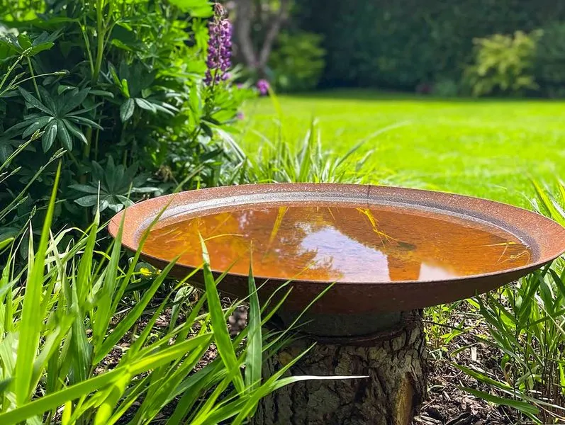 Outside Entertaining Garden, view 9
