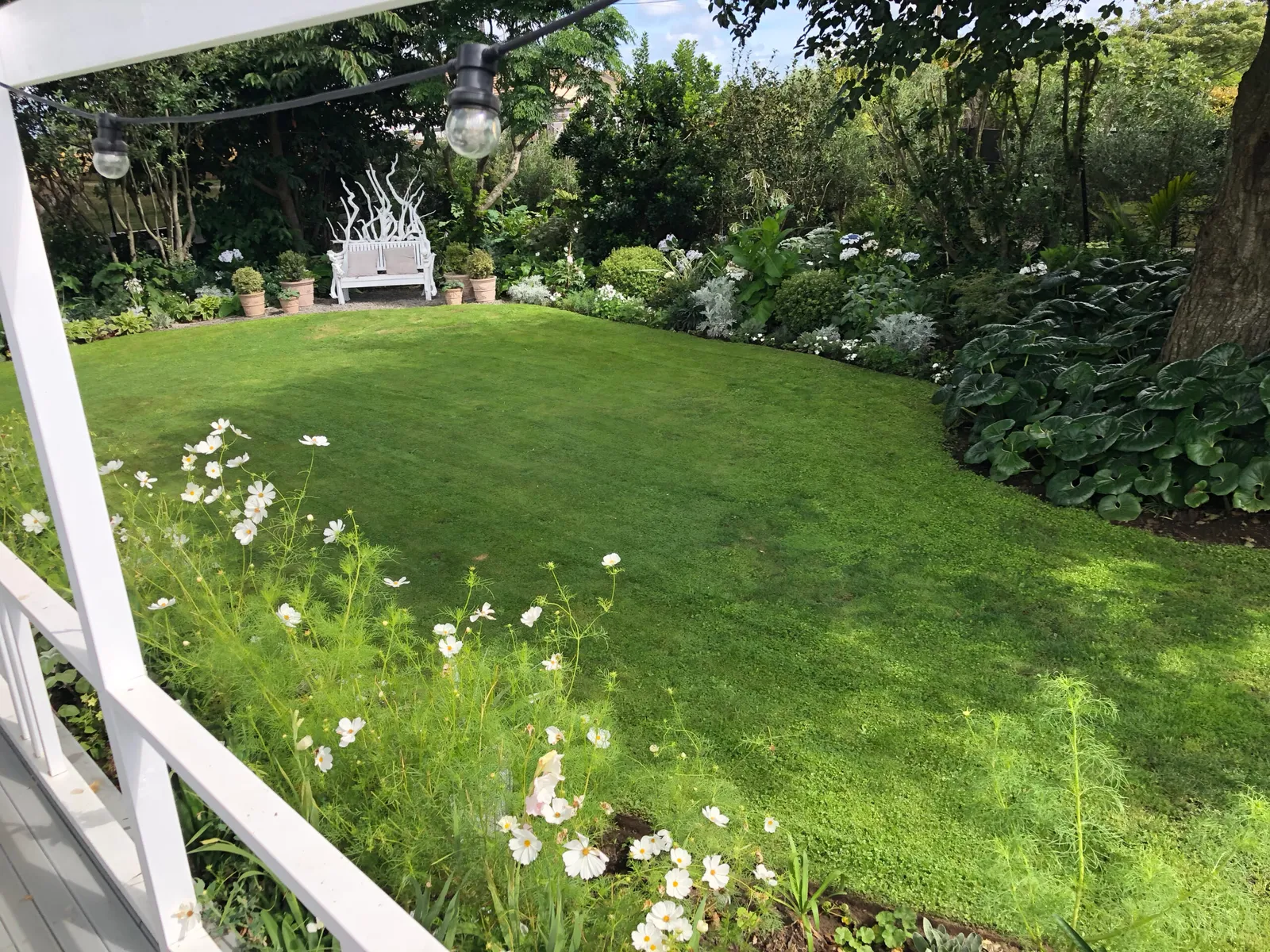 White Garden, view 4