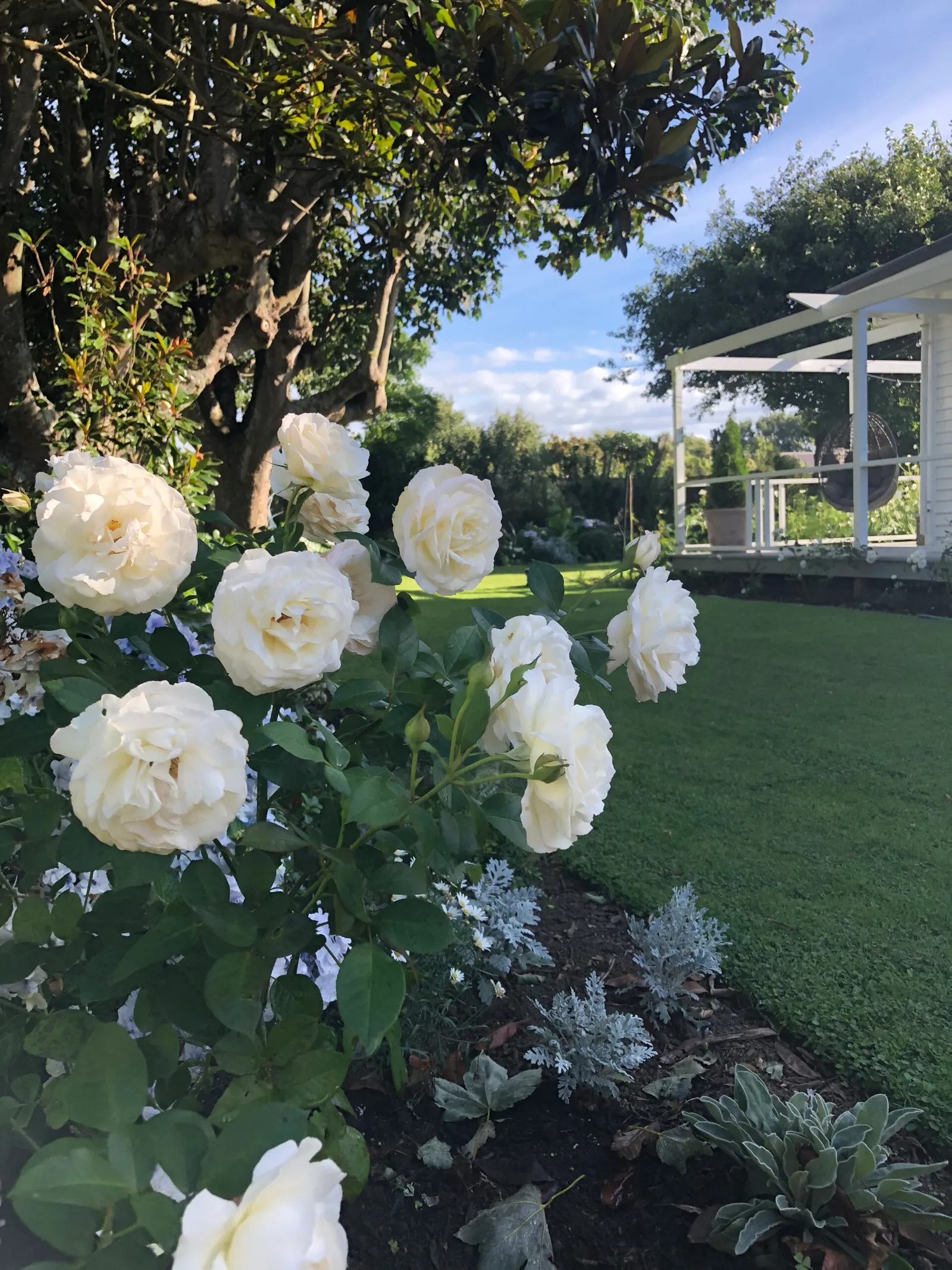 White Garden, view 9