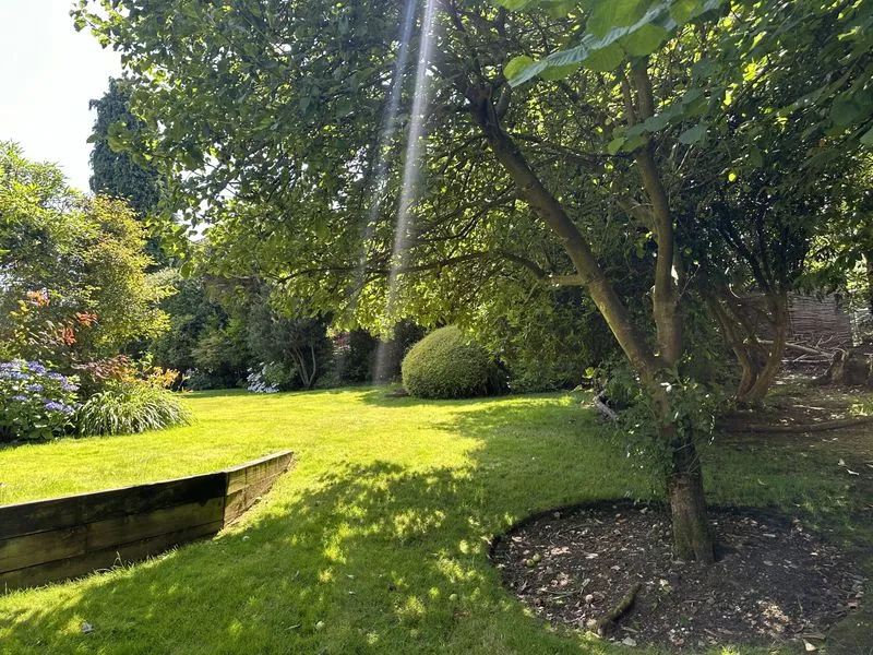 Woodland Garden, view 2