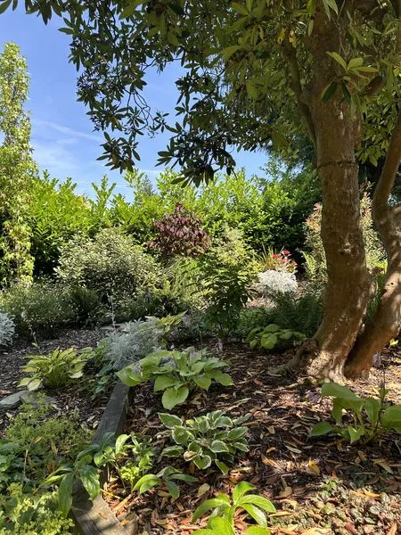 Woodland Garden, view 8
