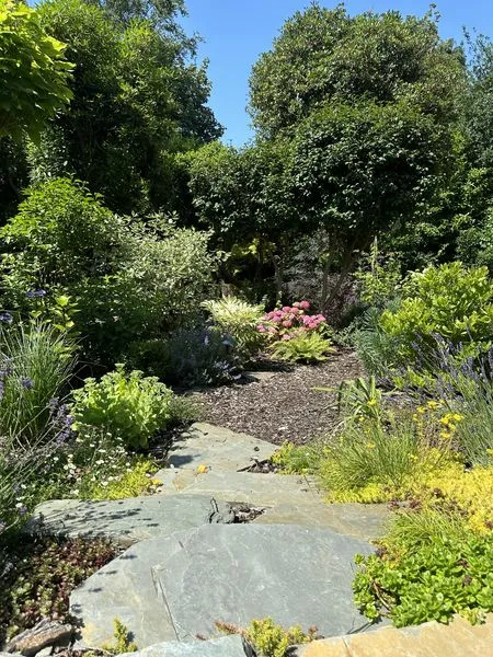 Woodland Garden, view 9