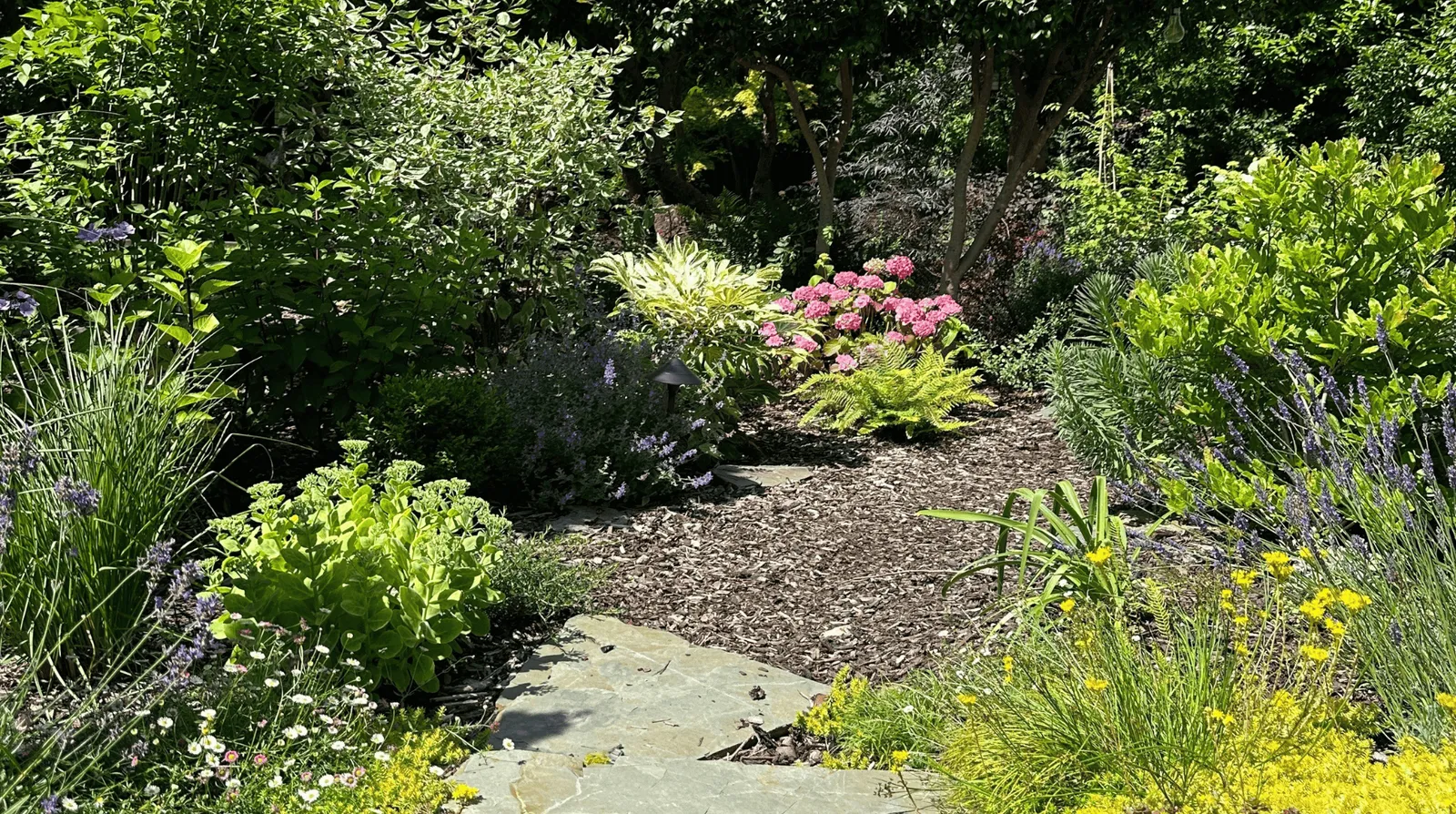 Woodland Garden, view 6