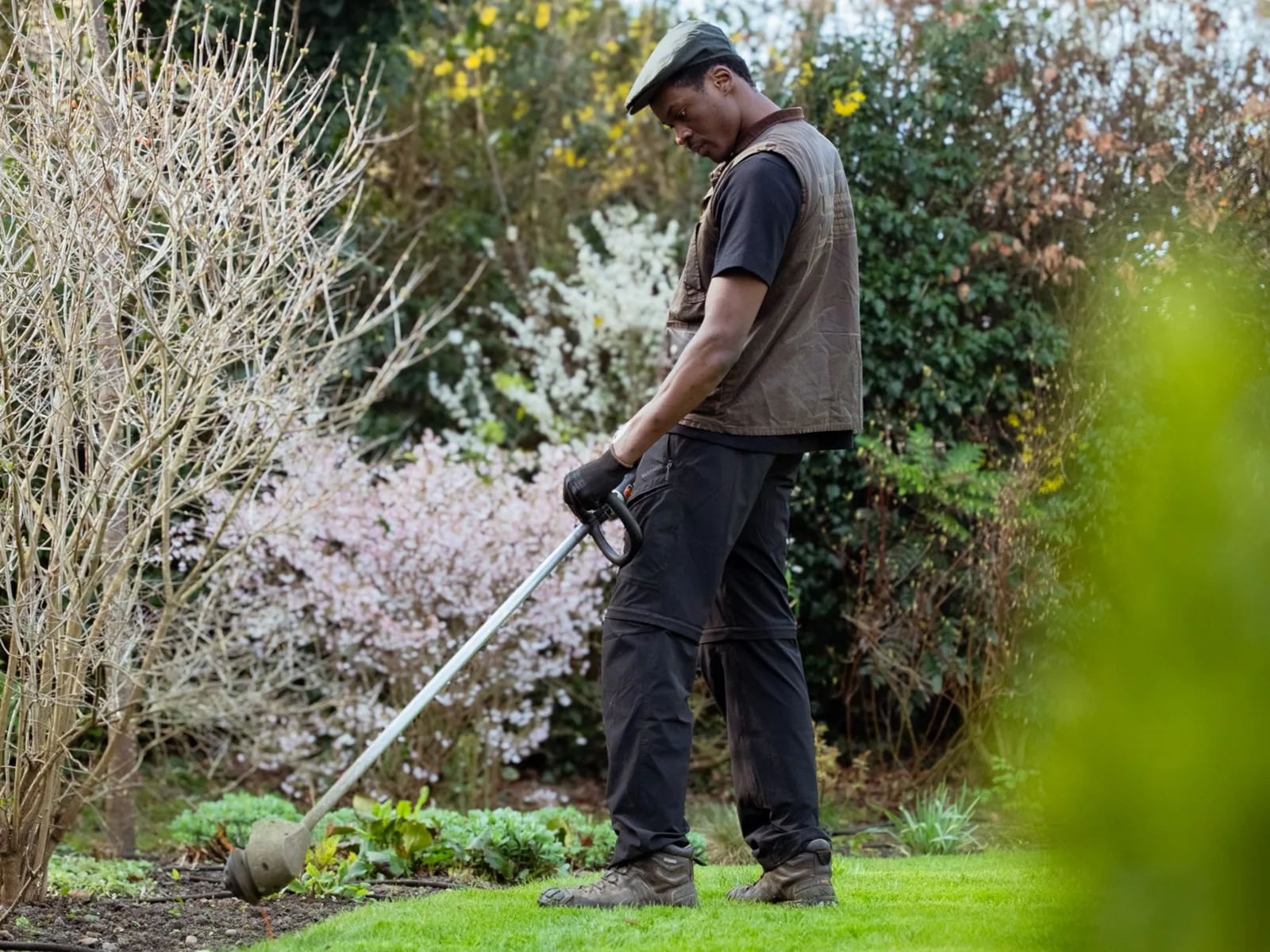 Gardener mowing alongside a herbaceous border in golden evening light