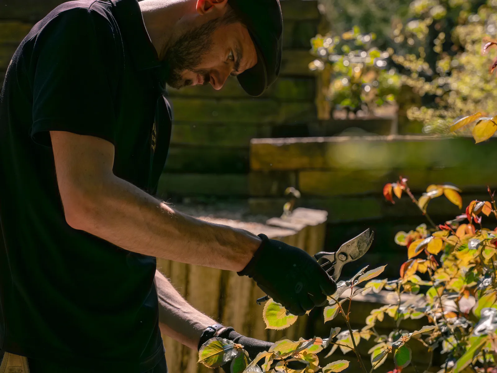 Gardener planting in a lush mixed border