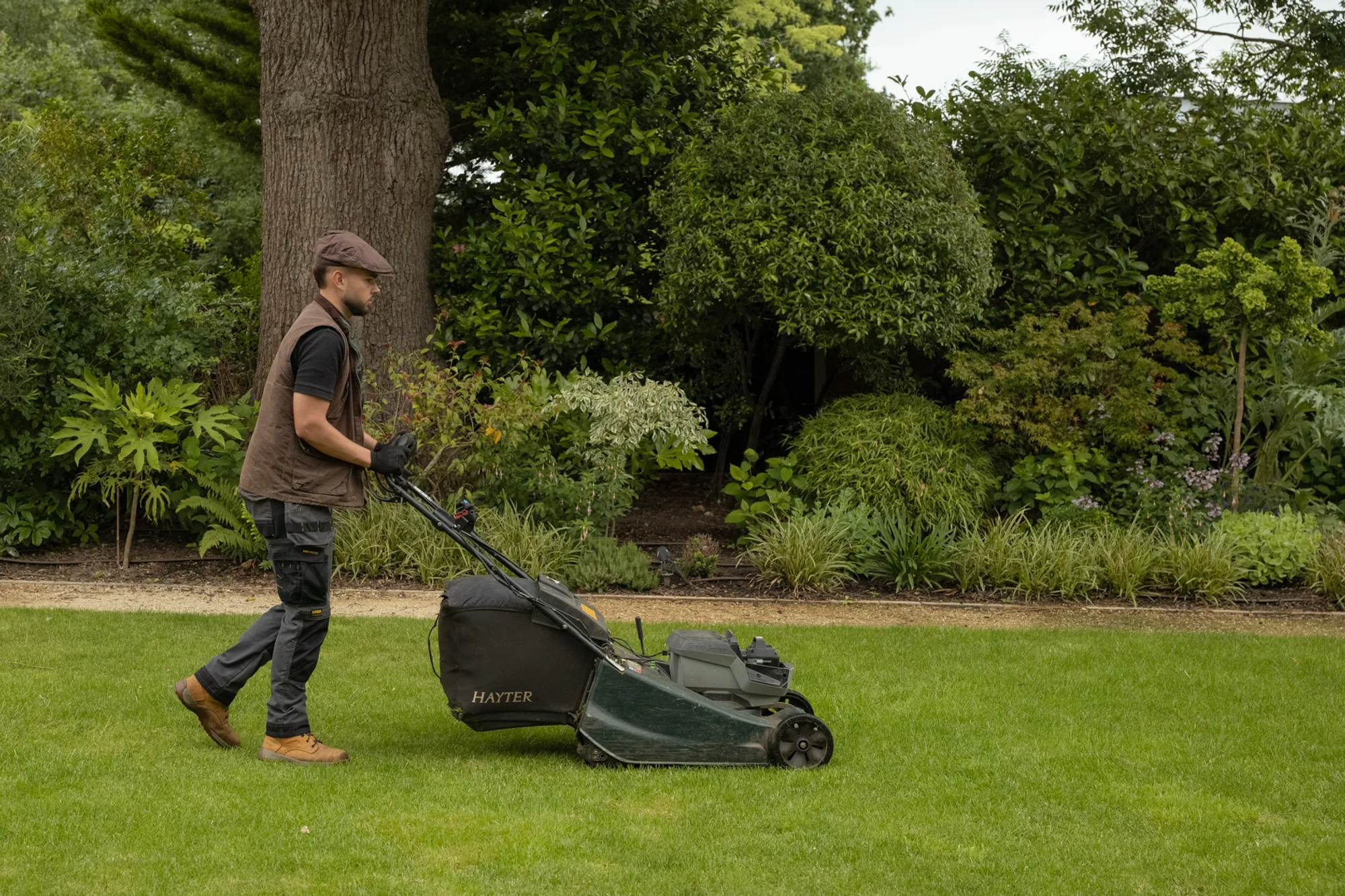A garden you meant to have.