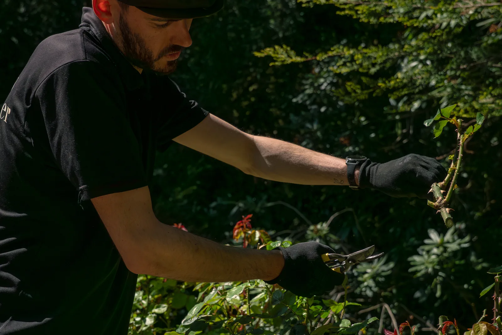 Garden clearance — our team at work