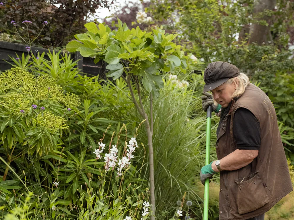 Garden maintenance subscriptions, recent work 3