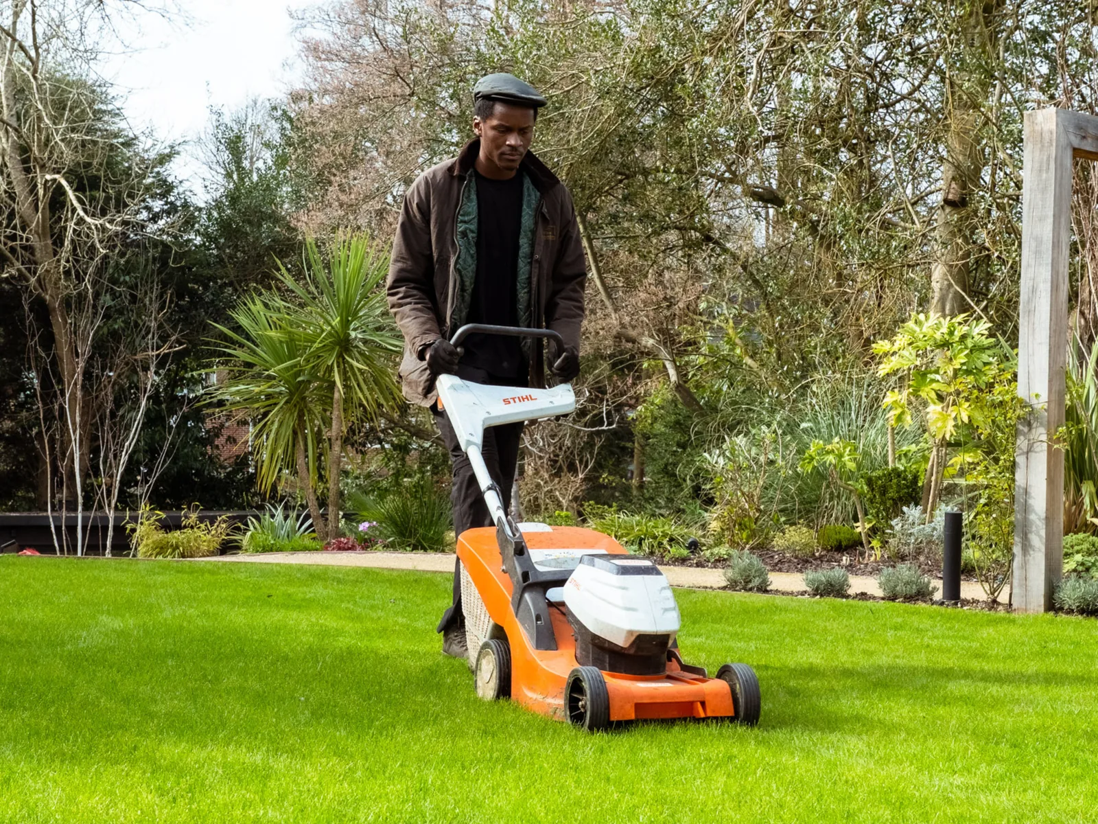 Lawn care, recent work 2