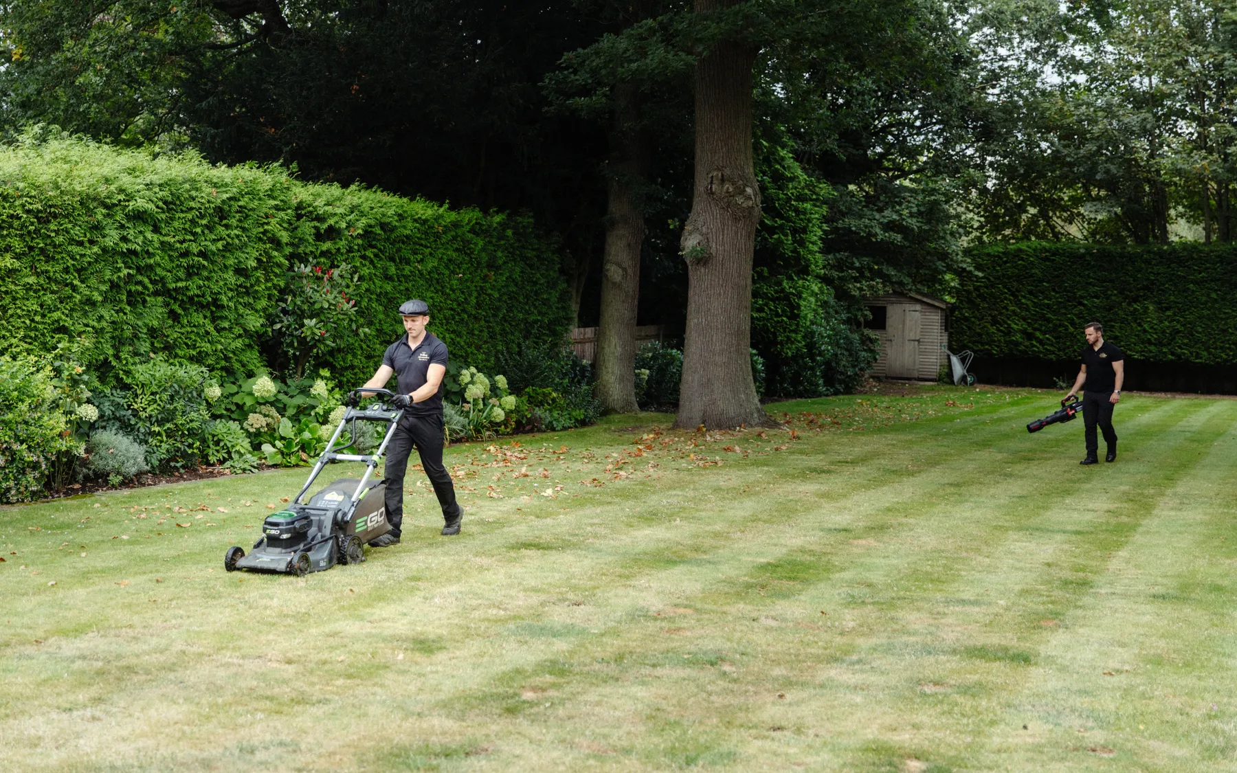 Lawn care