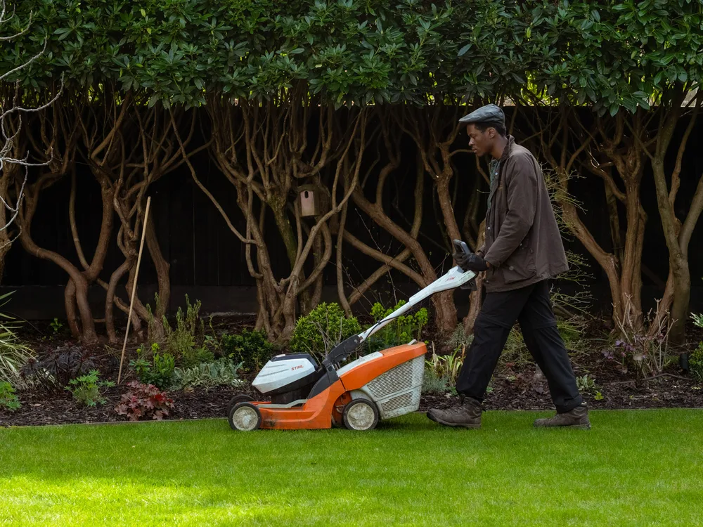 Lawn mowing, recent work 1